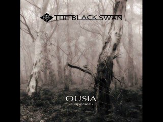 THE BLACK SWAN - OUSIA -dispersed-4.失い