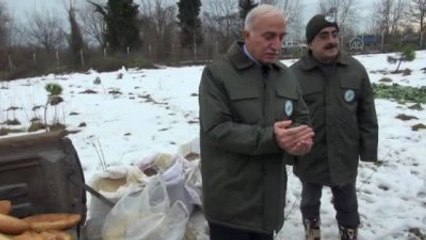 Yabani Hayvanlara Yem Bıraktılar