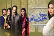 Mere Jevan Sathi Episode 23 ARY Digital - 7th January 2016 HD