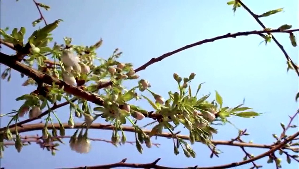 Planet Earth Most Amazing Beautiful Places HD