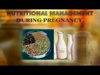 Nutritional Management for During Pregnancy, Diet - English