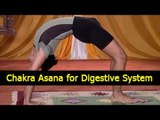 Chakra asana -  Yoga Exercises for Digestive System - English