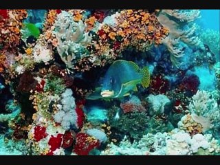 Top 10 most beautiful places on earth !  MUST SEE !