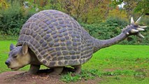 Jurassic World Dinosaurs....5 Weird Animal Facts - Ep. 17 : AnimalBytesTV