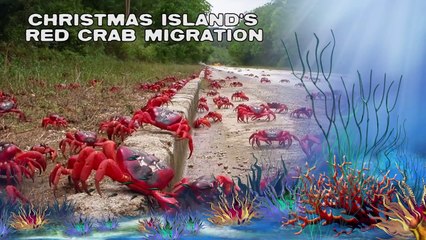 10 Strangest Ocean Phenomena You Wont Believe!