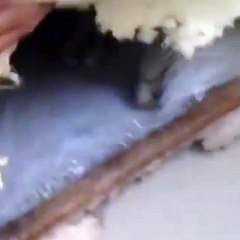 He got stuck because of chasing mouse