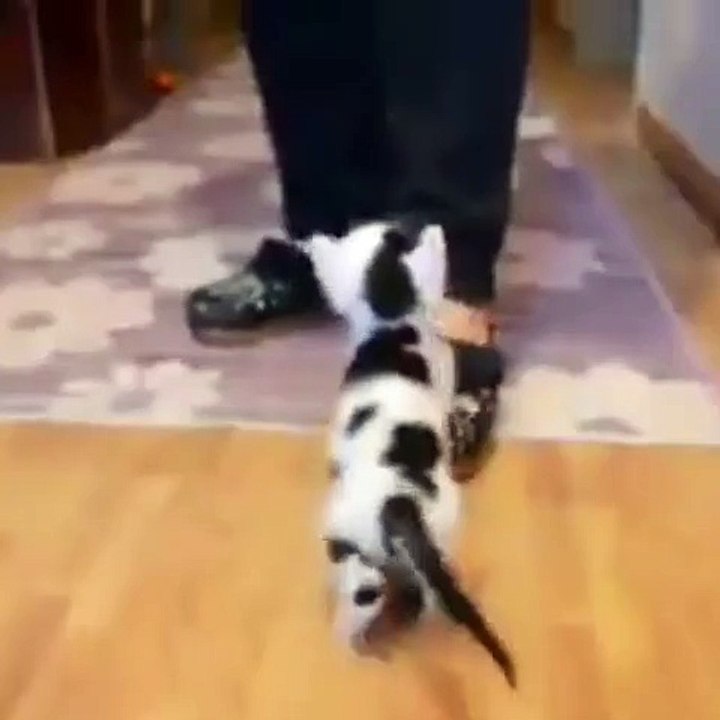 Climbing for milk