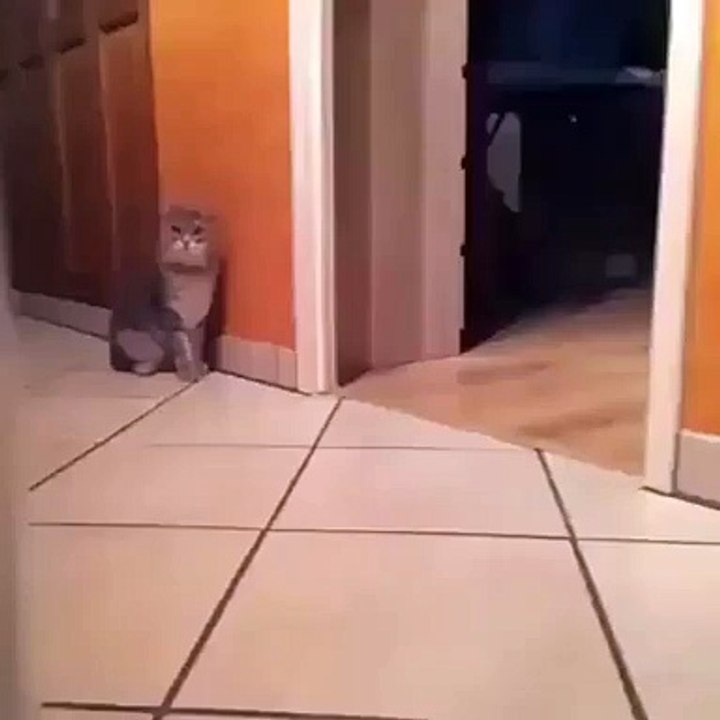 Hiiiiiiii