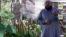 Dil Mein Yaad Teri - Muhammad Farhan Junaidi -  Full Video New Naat [2016] - All Video Naat