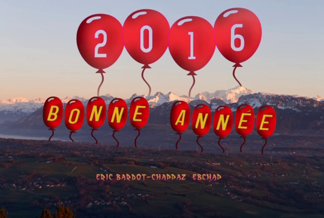 bonne année 2016