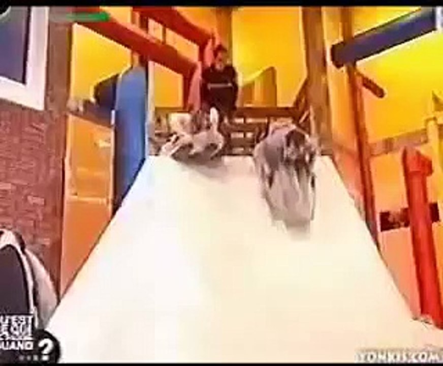 Accident at a TV show