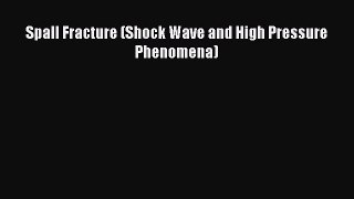 [PDF Download] Spall Fracture (Shock Wave and High Pressure Phenomena) [PDF] Online