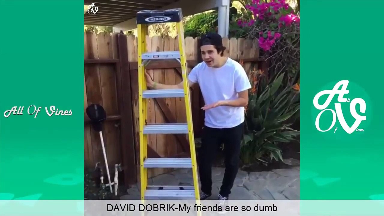 Vine Compilation - Funniest Vines