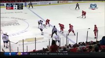 Red Wings fans sing along during play