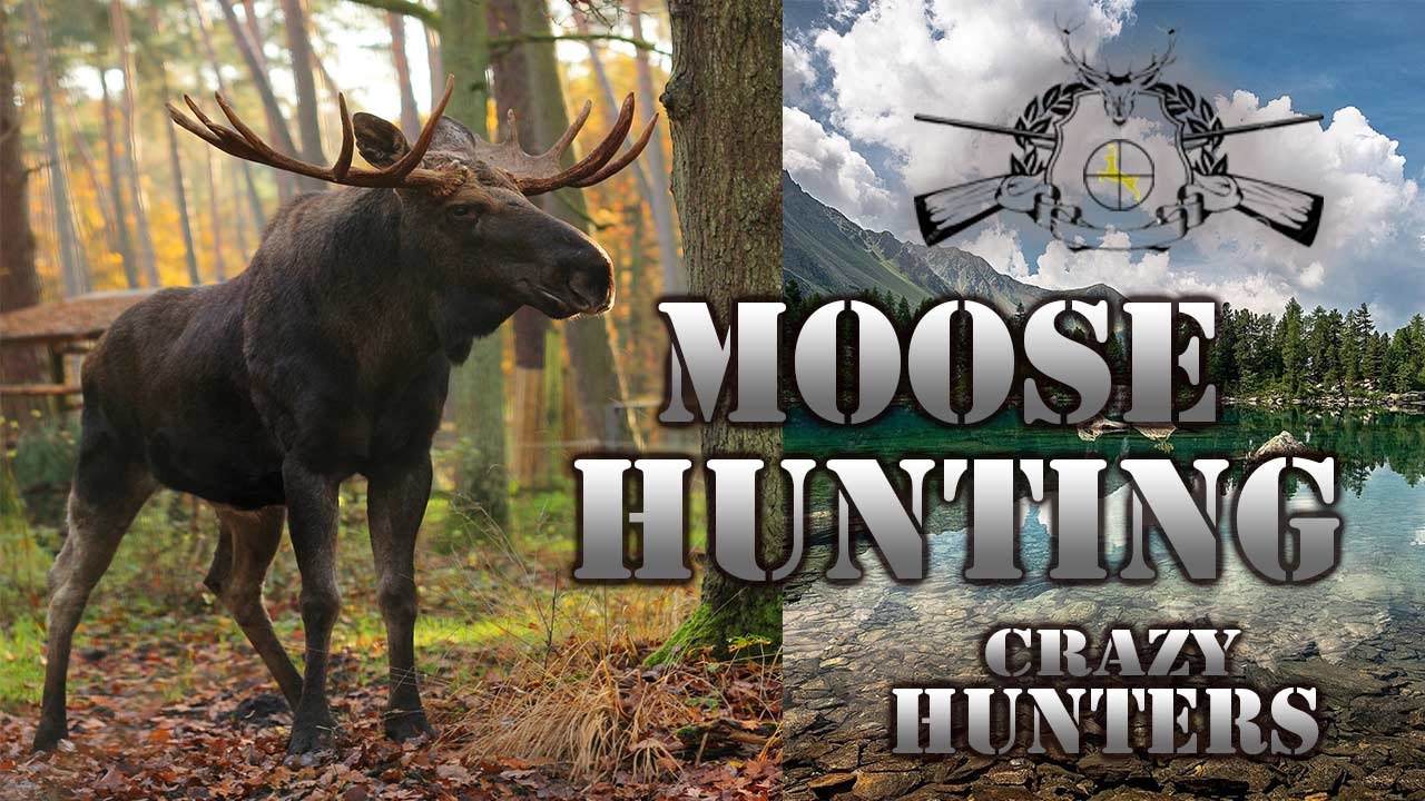 Moose Hunting # 001 - Geyik Avı - [►]