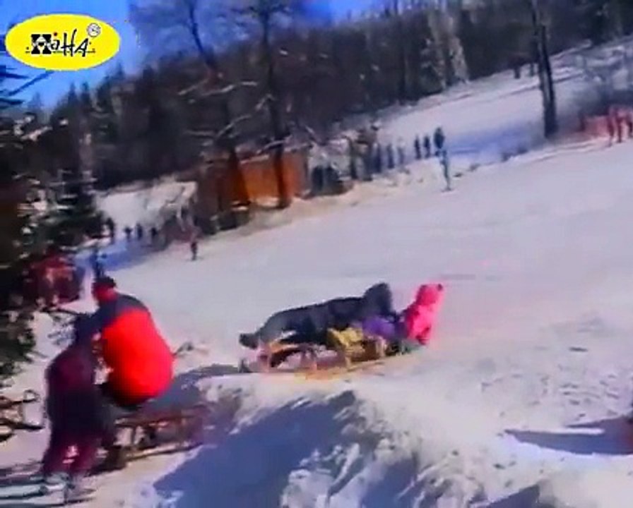 Funniest Sports Bloopers Epic 2016 [NEW]