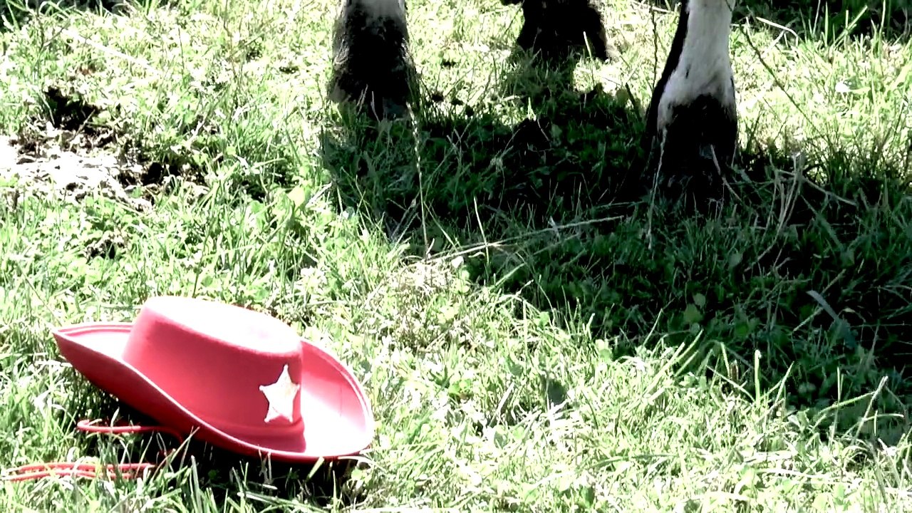 Colomba Cali - La Vachette