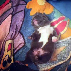 When you have to do anything