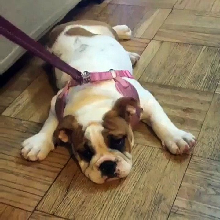 After leg day (2)