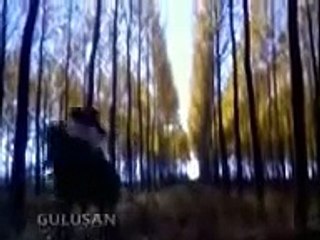 GÜLÜŞAN  1985    FRAGMAN sevisme sahnesi (Televizyon Kanalları FULL HD 720P)