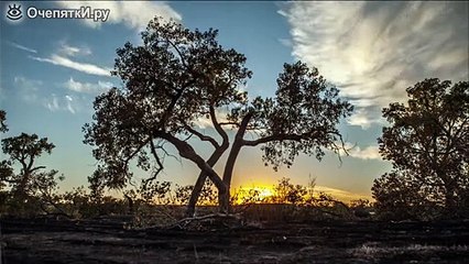 Потрясающие виды Млечного пути