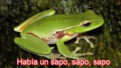 EL SAPO (Con Letras) Canciones Infantiles /BabyKids
