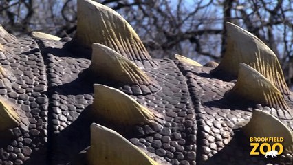 Dinosaurs Alive! is Back! Forests Are Important - Polar Bears International