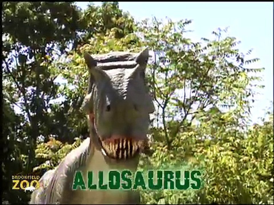 Mesozoic Idol  Allosaurus - Week 4 Howling Wolves Forests Are Important - Polar Bears International Hudson Polar Bear 2 at Brookfield Zoo