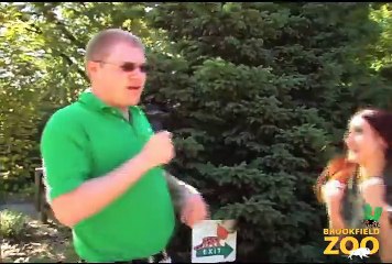 Xtreme BUGS Challenge - Orchid Mantis