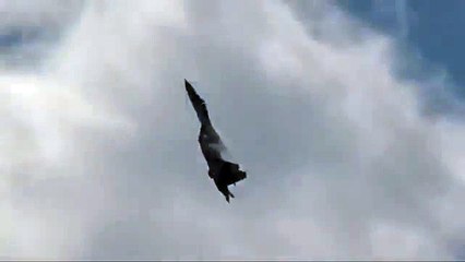 استعراض --الطائرة الروسية سوخوي سو 35