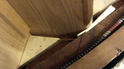 161  Fix chenge new wood stairs 換新木樓梯