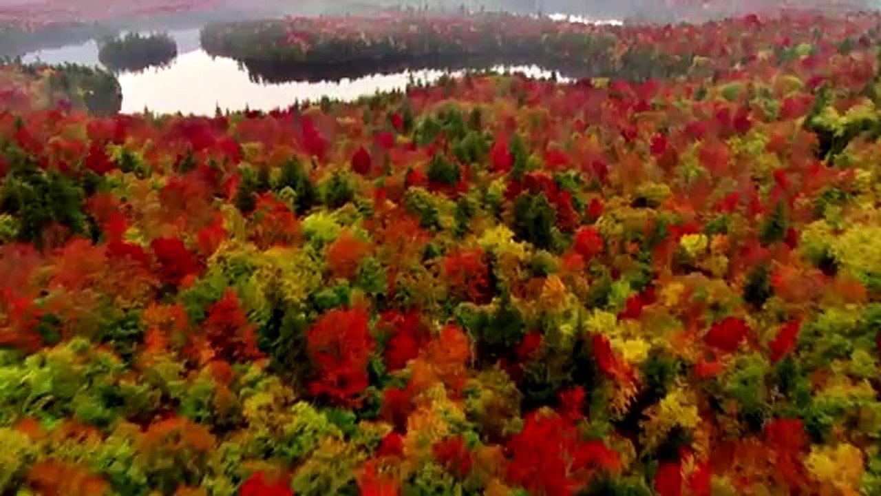 Amazing nature   EARTH