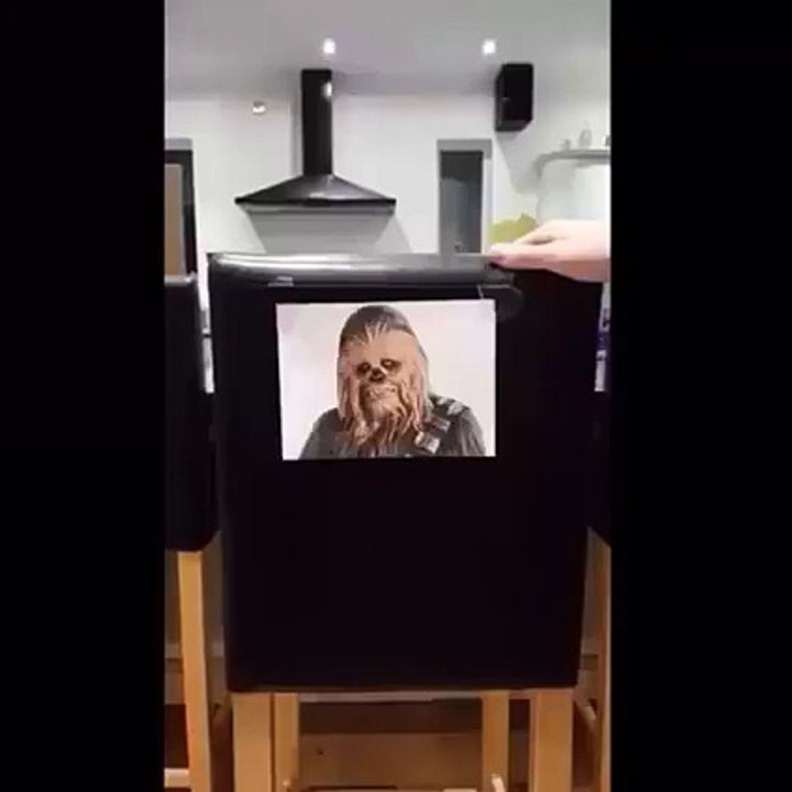 Homemade Chewbacca