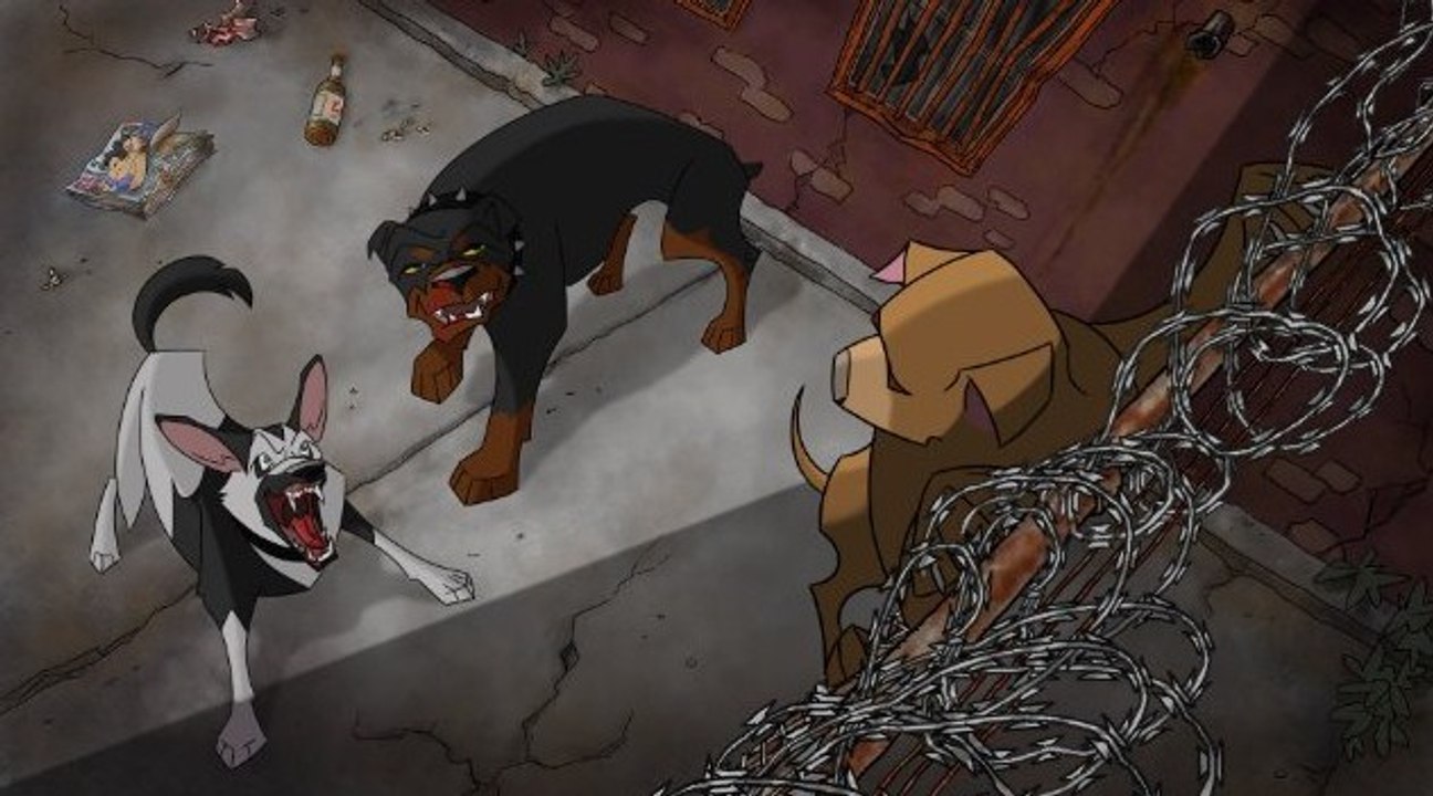 Dawgtown Full Movie