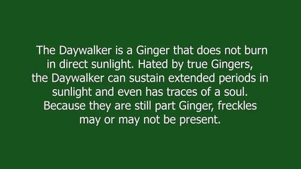 daywalker meaning and pronunciation