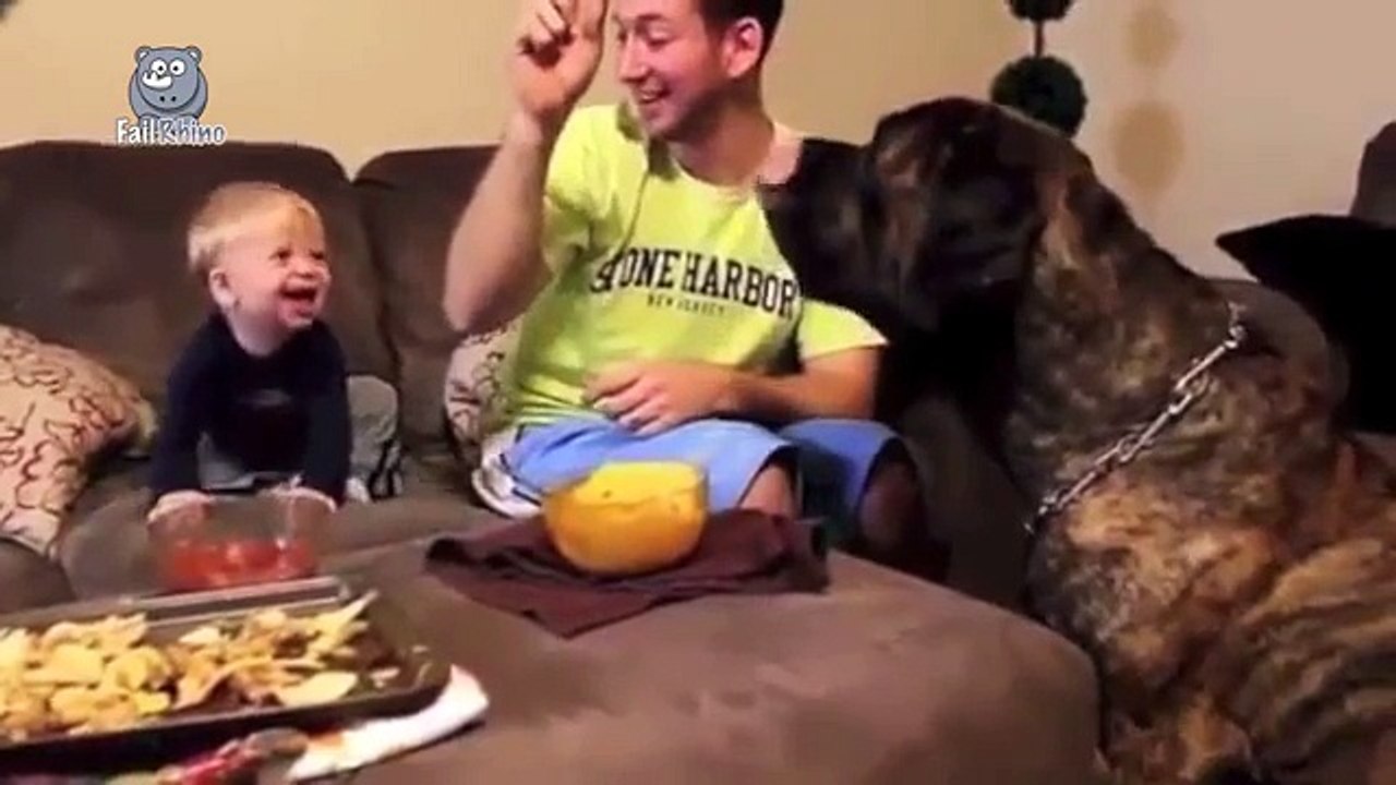 Babies Laughing at Dogs Compilation 2015 NEW HD
