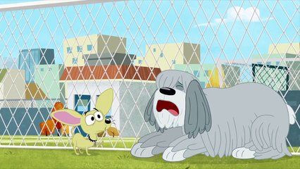 Pound Puppies - I Miss Cookie So Much!
