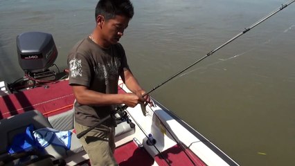 Super Monster Yellow Cheek with GongLei