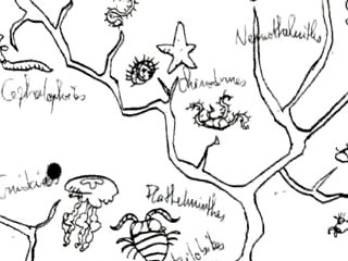 La révolution des crabes