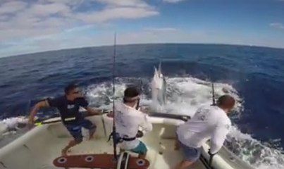 Un pescador casi muere ensartado por un pez espada