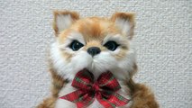 Японские игрушки ТАНЦУЮЩИЙ КОТ. Japanese DANCING toy CAT. 日本舞的玩具猫