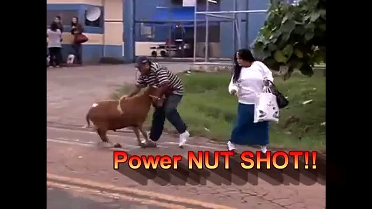 Hilarious Crazy Ass Goat Terrorizes People in the streets Real Life Mountain Dew attack Goat