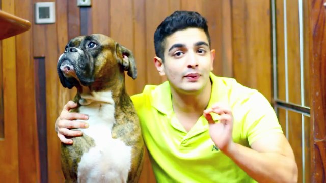 HEALTHY Paneer Recipes - Paneer Cheese Kabab - HIGH PROTEIN Vegetarian recipes ( INDIAN )