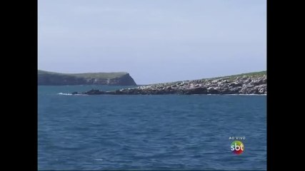 Lama da barragem da Samarco pode ter chegado ao arquipélago de Abrolhos