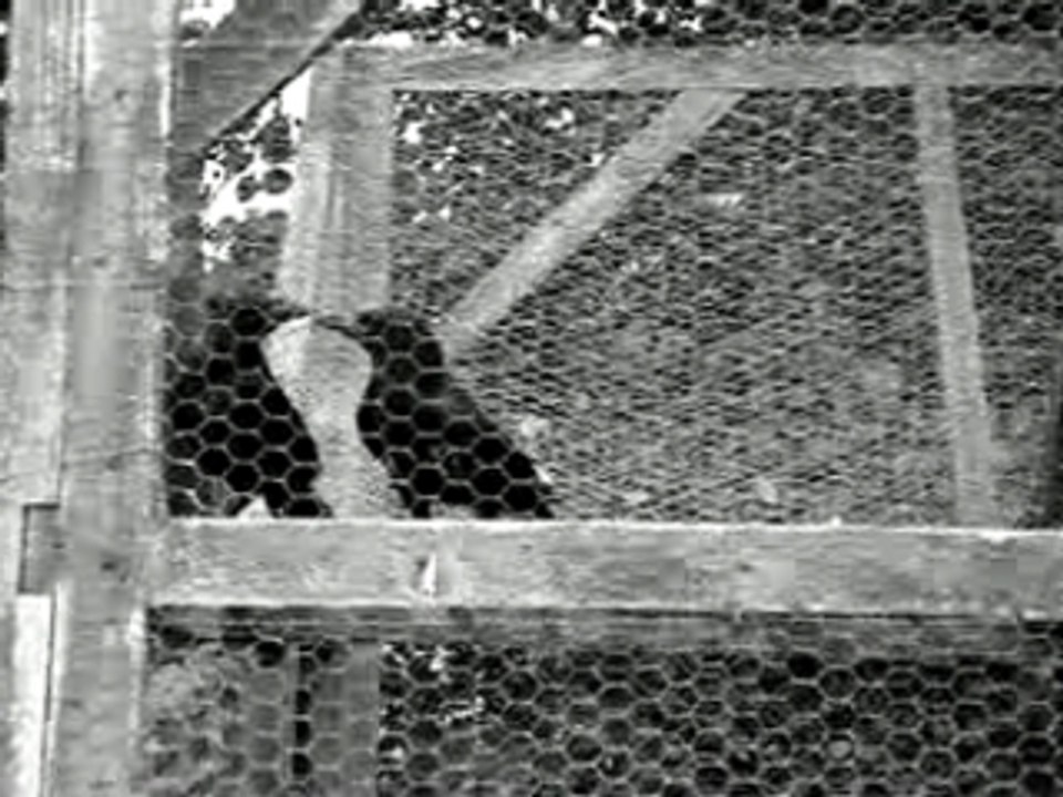 One Step Inside - Elyzabeth II