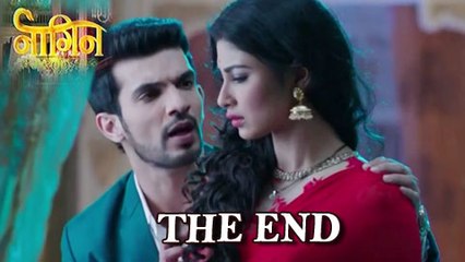 Ritik & Shivanya's Love Saga, Naagin Comes To An End | Colors