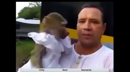 Animal Fun videos - Dailymotion
