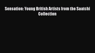 Sensation: Young British Artists from the Saatchi Collection [PDF Download] Sensation: Young