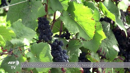 Vin: l'héritier du Romanée-Conti, un héraut discret