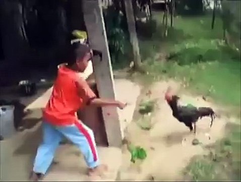 Very funny video of Cock chasing a kid- When animals go bad